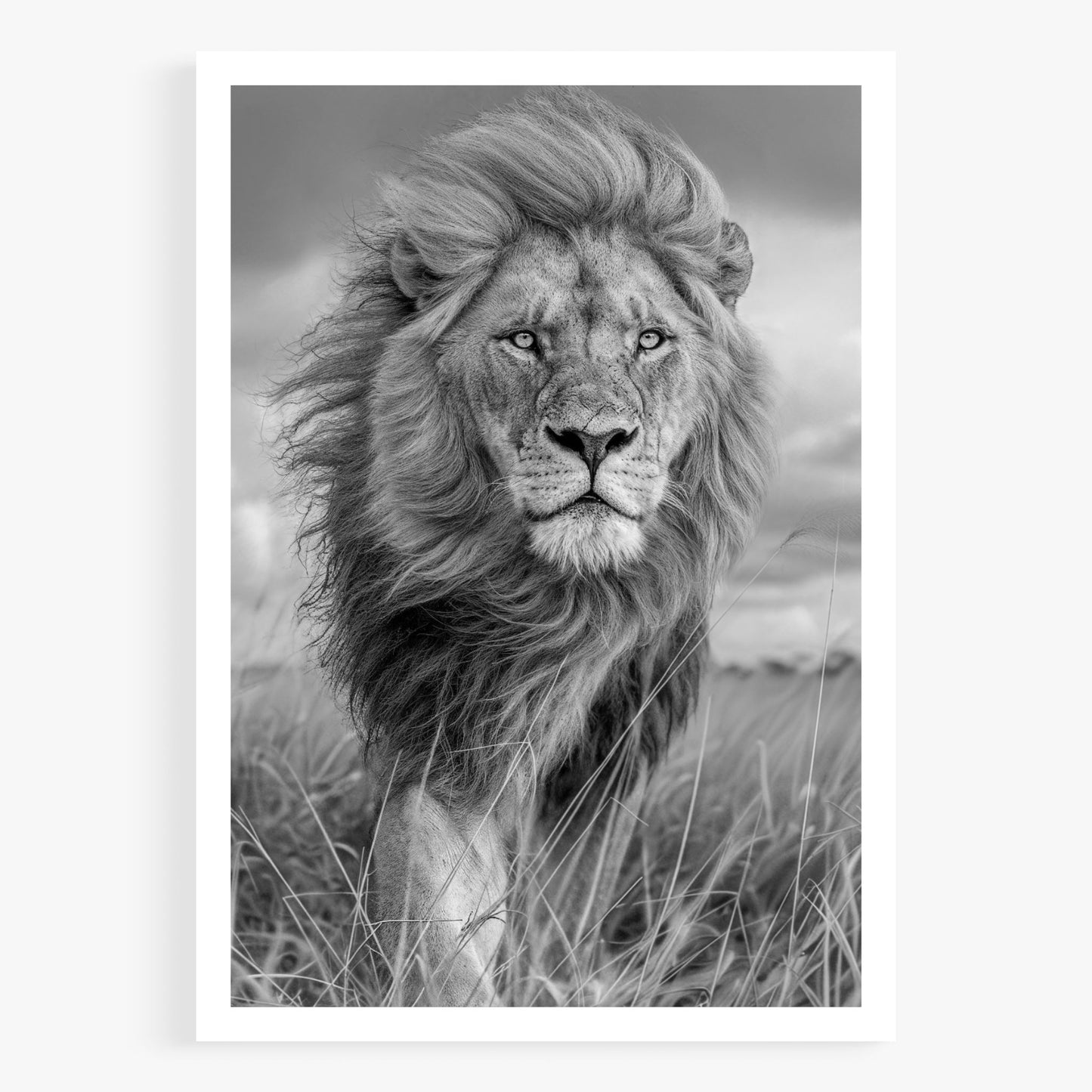 Majesty