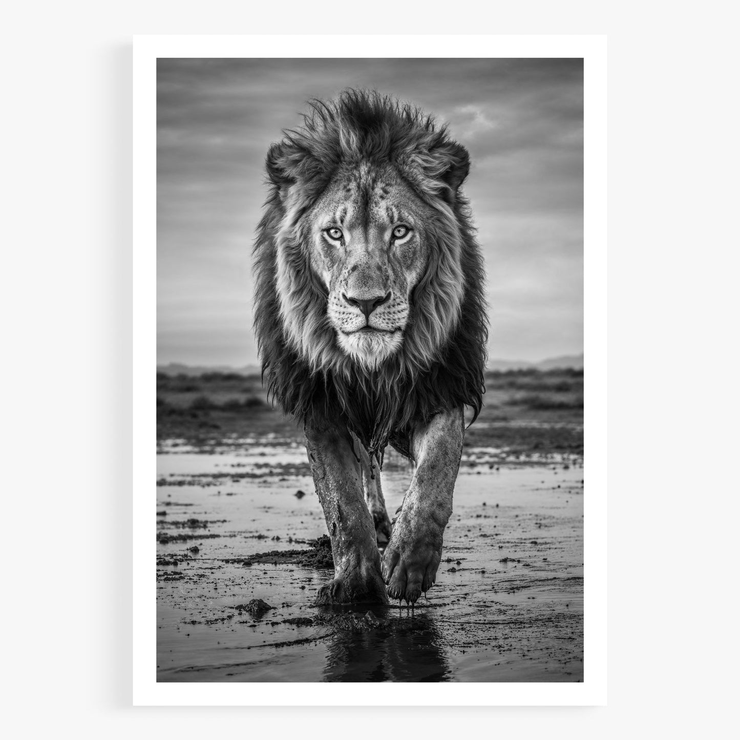 Pride