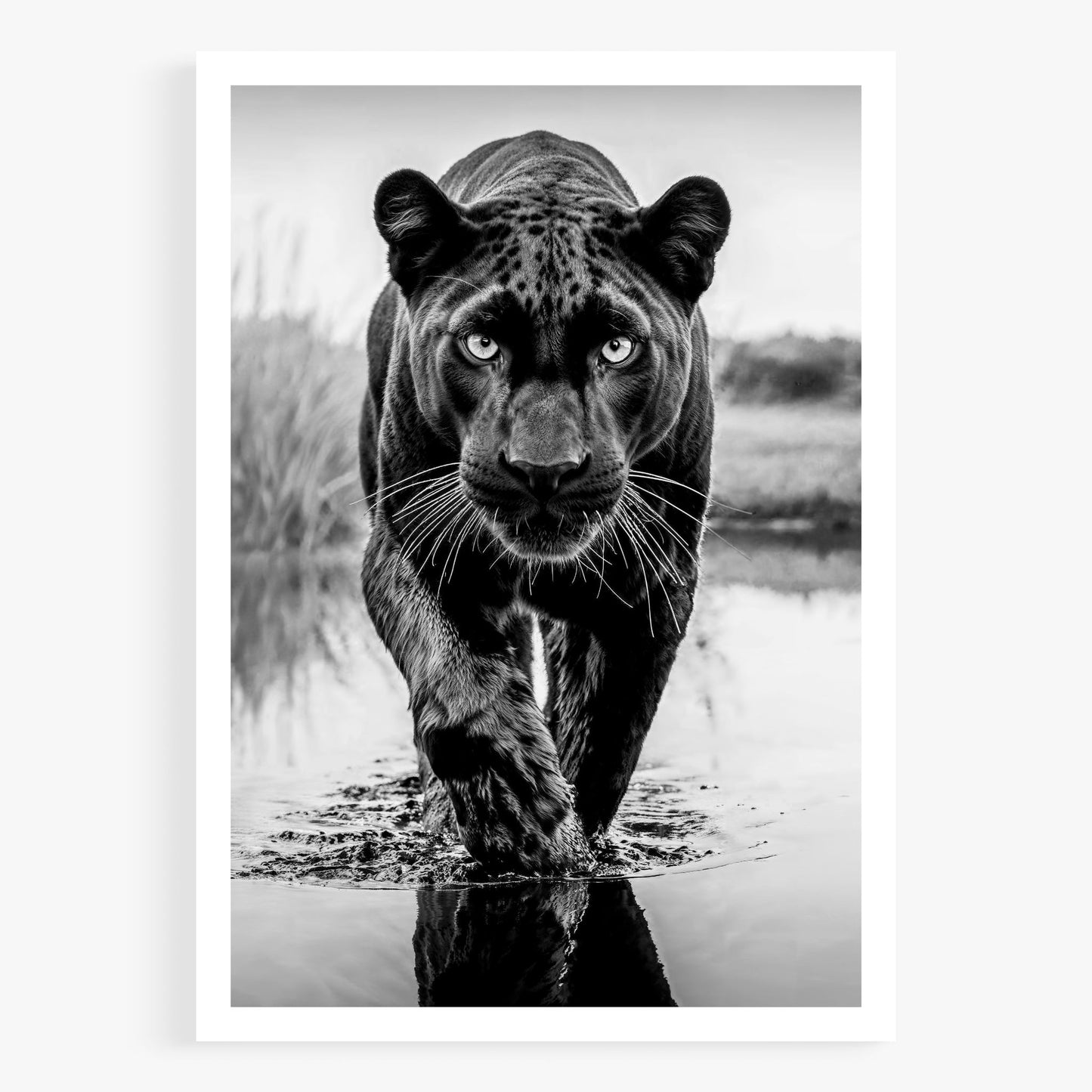T'Challa