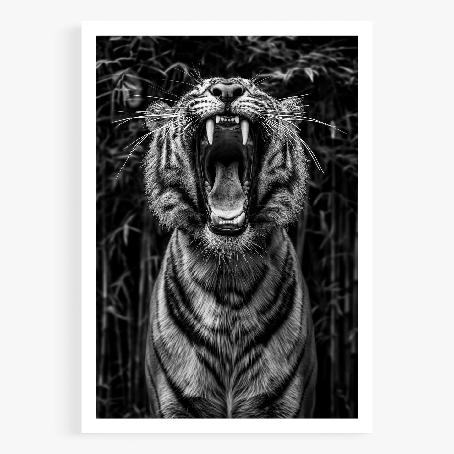 Rawr