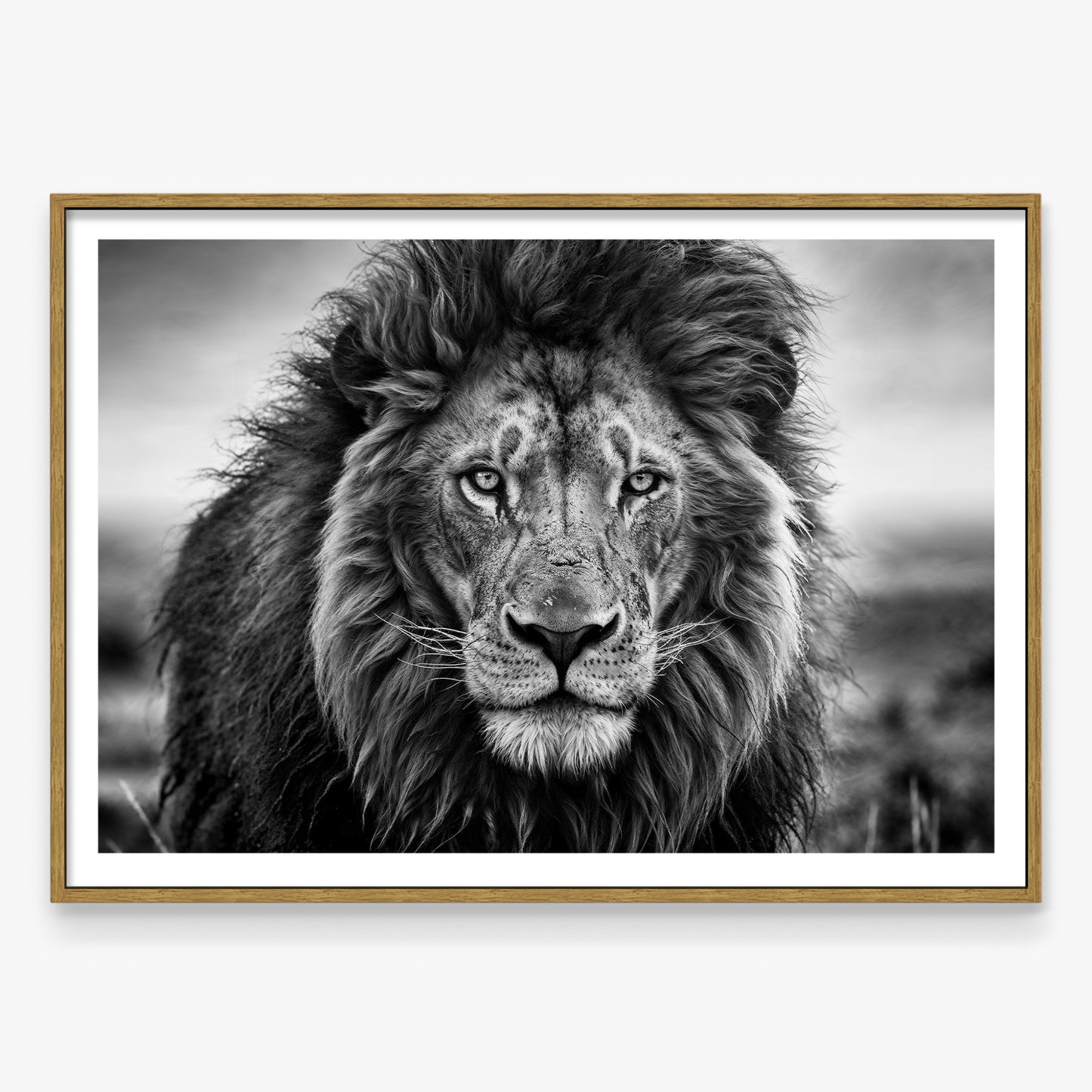 Leo