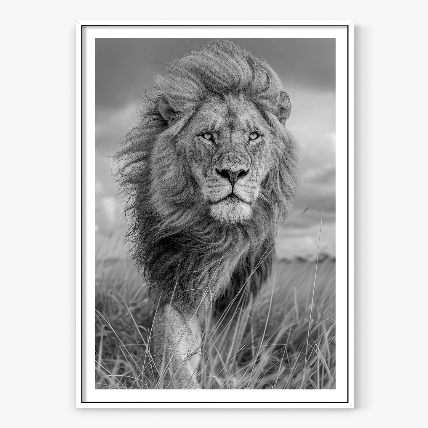 Majesty
