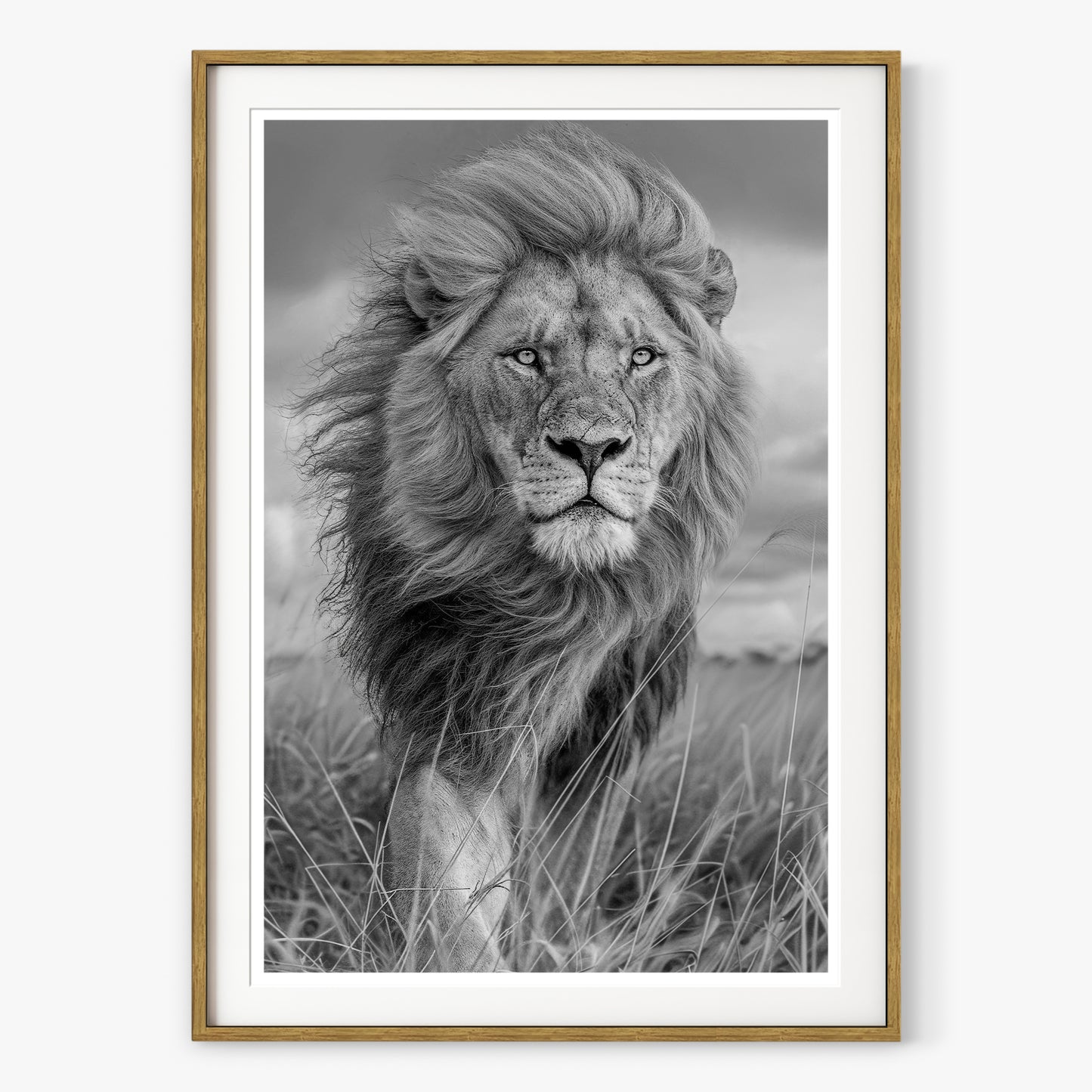 Majesty