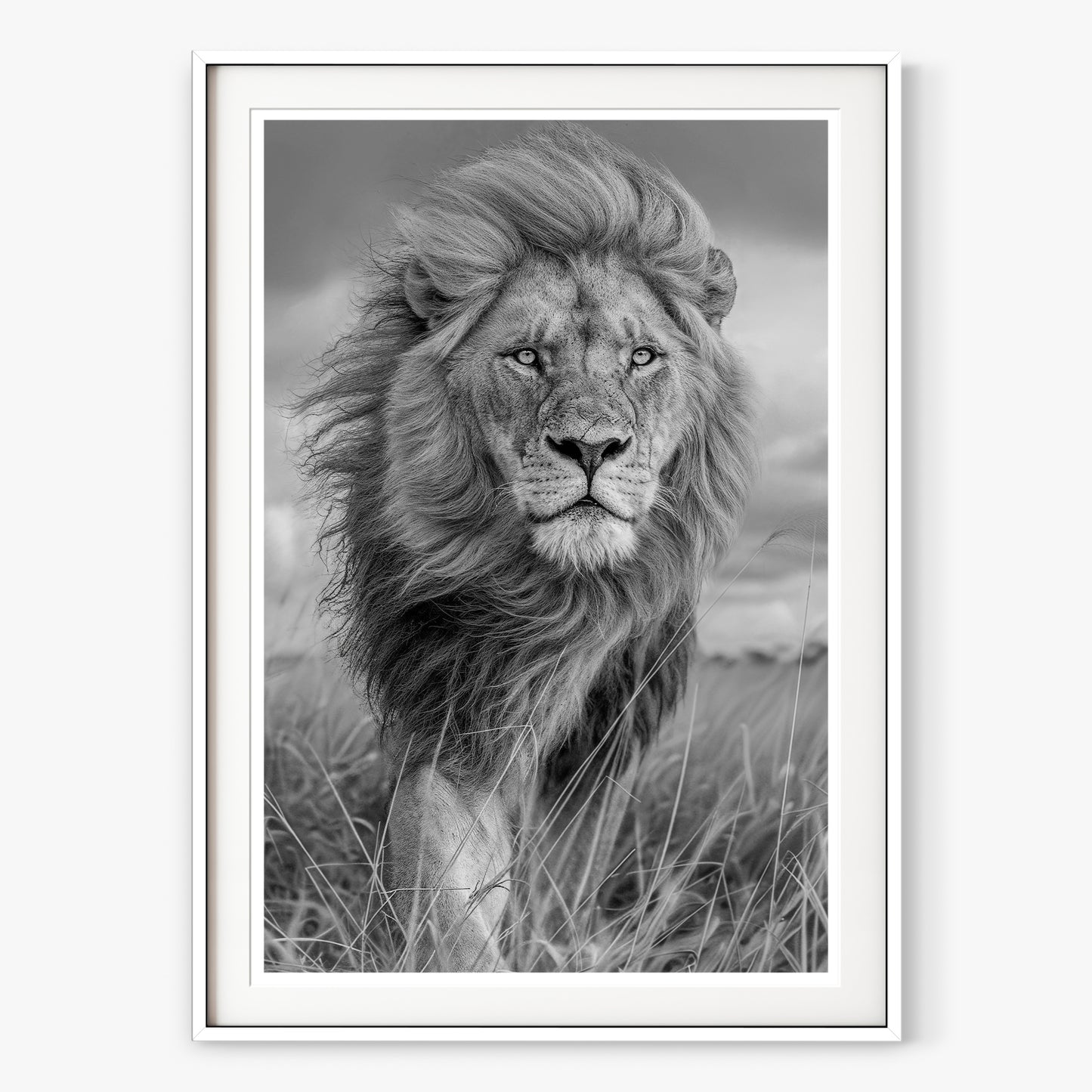 Majesty