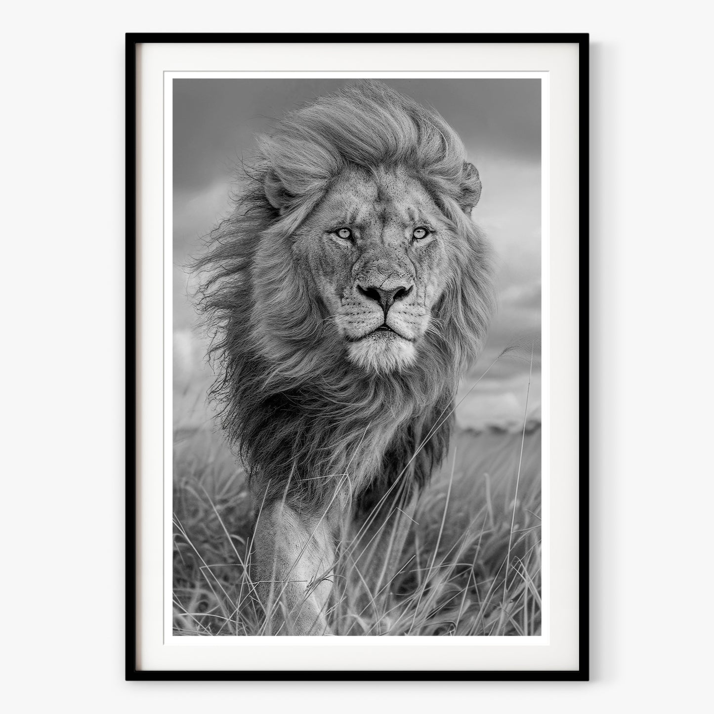 Majesty