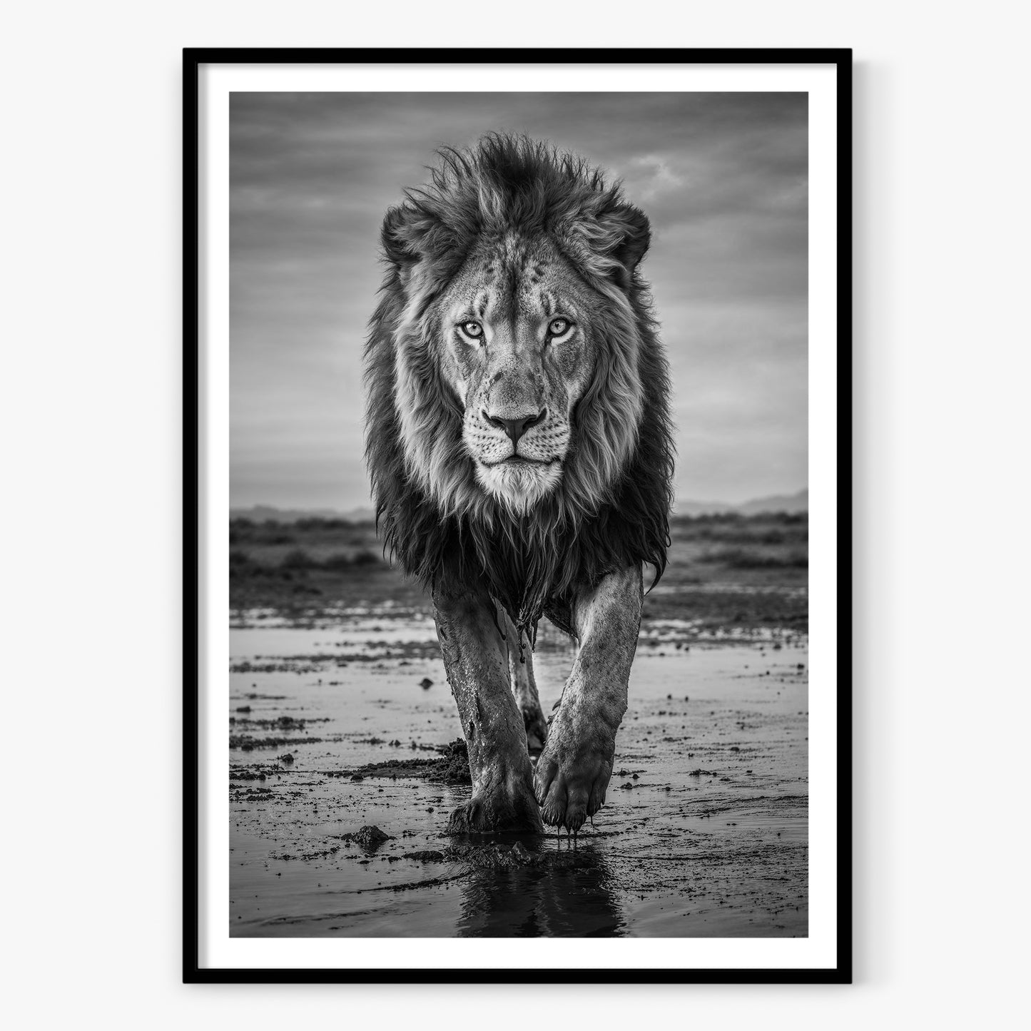 Pride