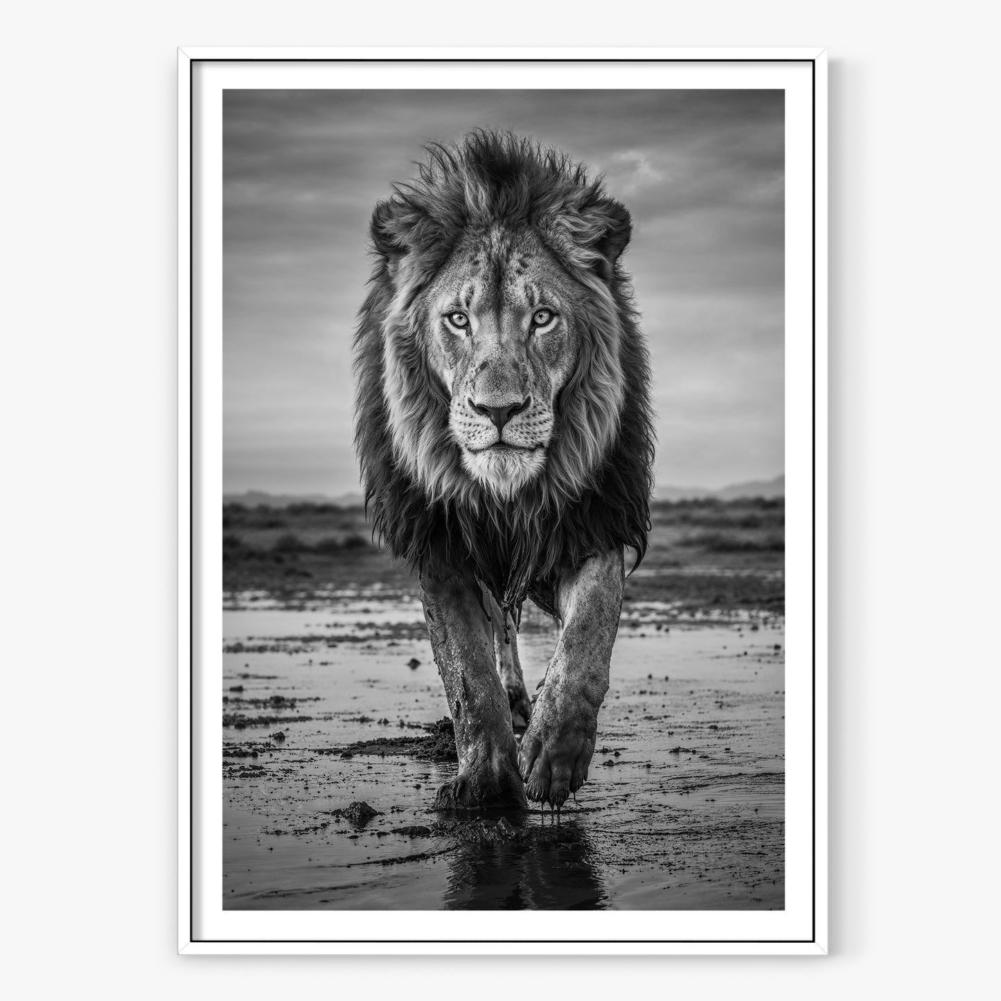 Pride