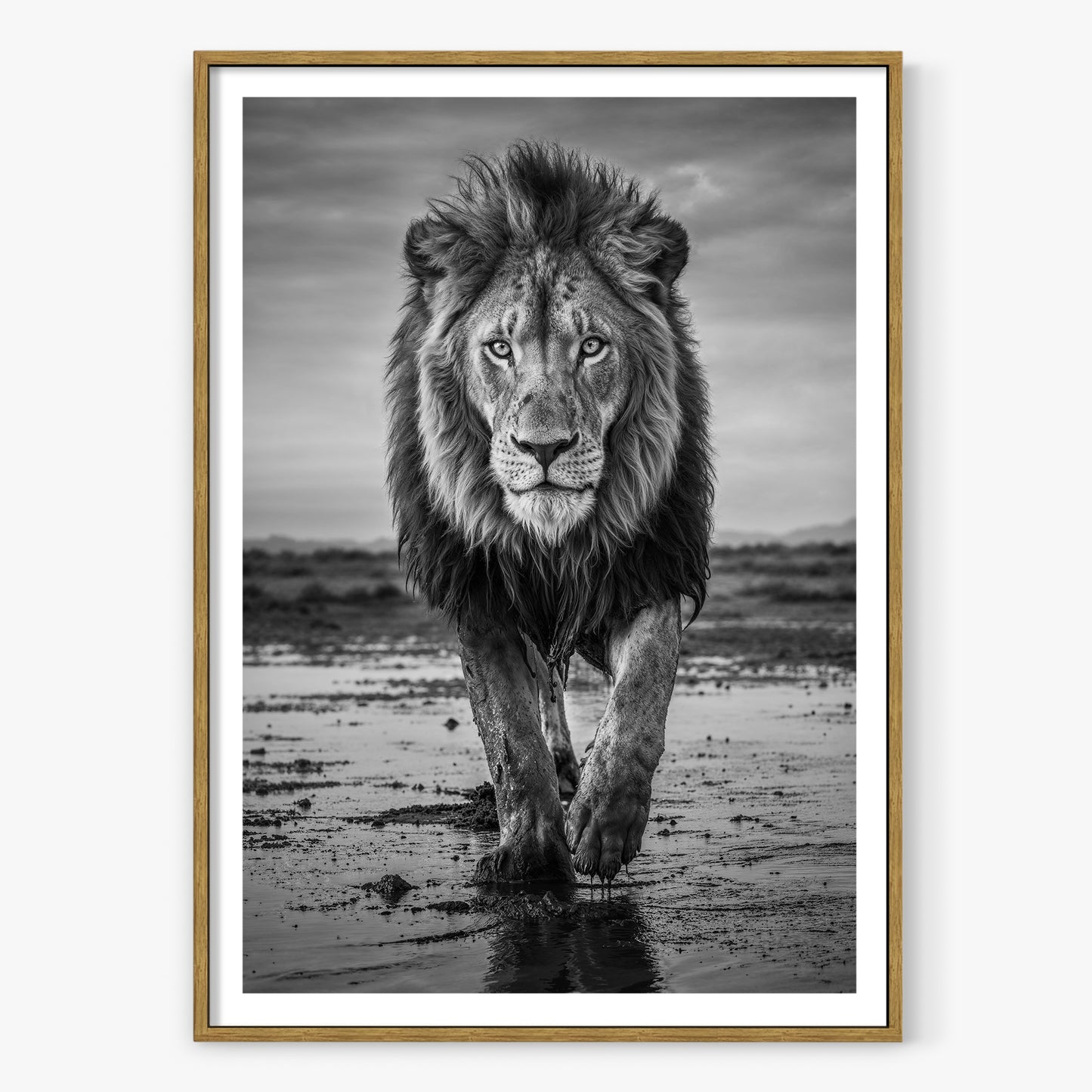 Pride