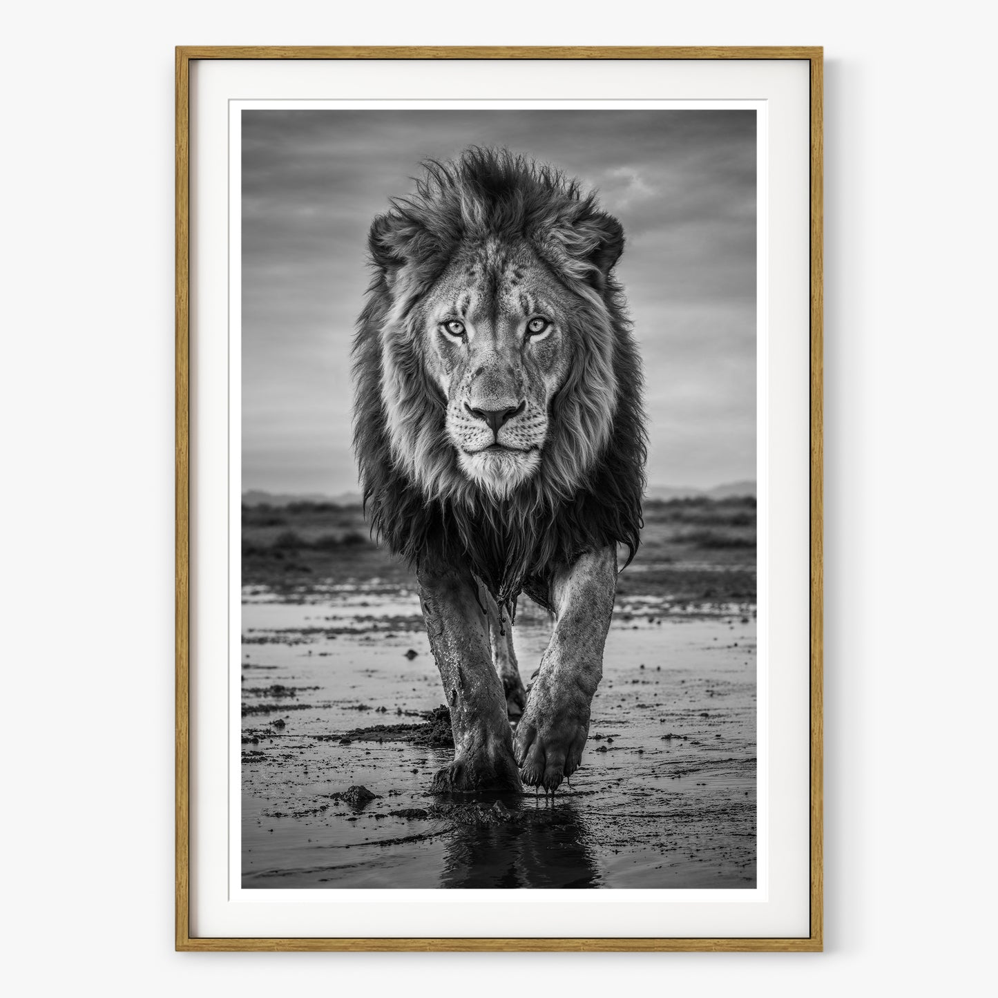 Pride