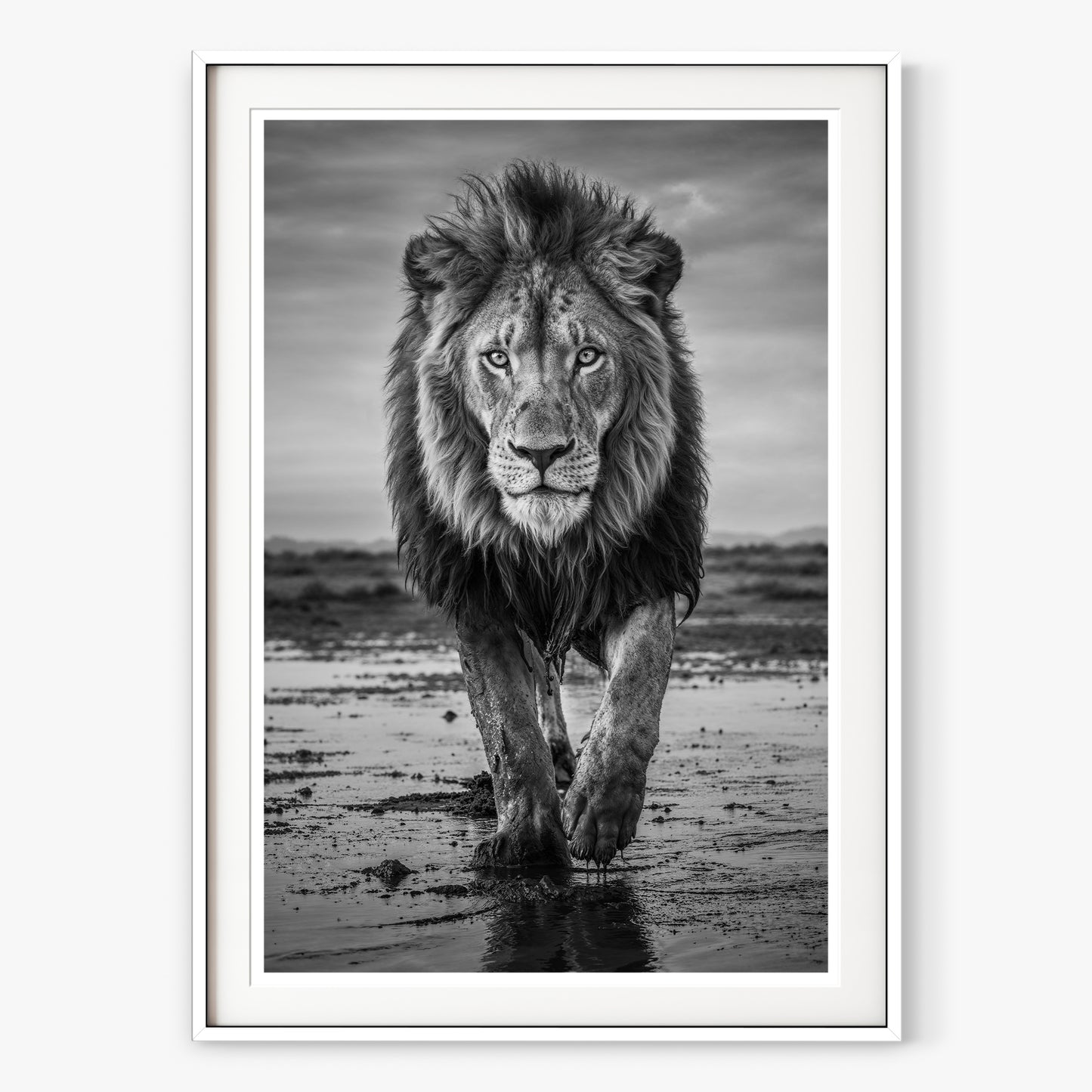 Pride