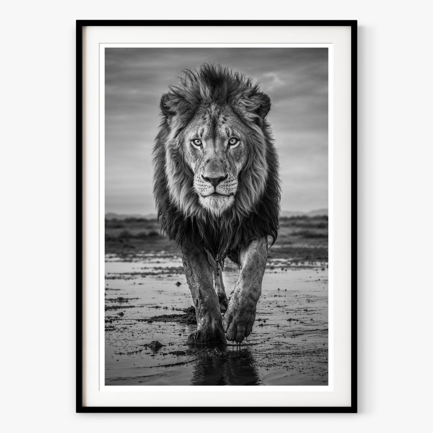 Pride