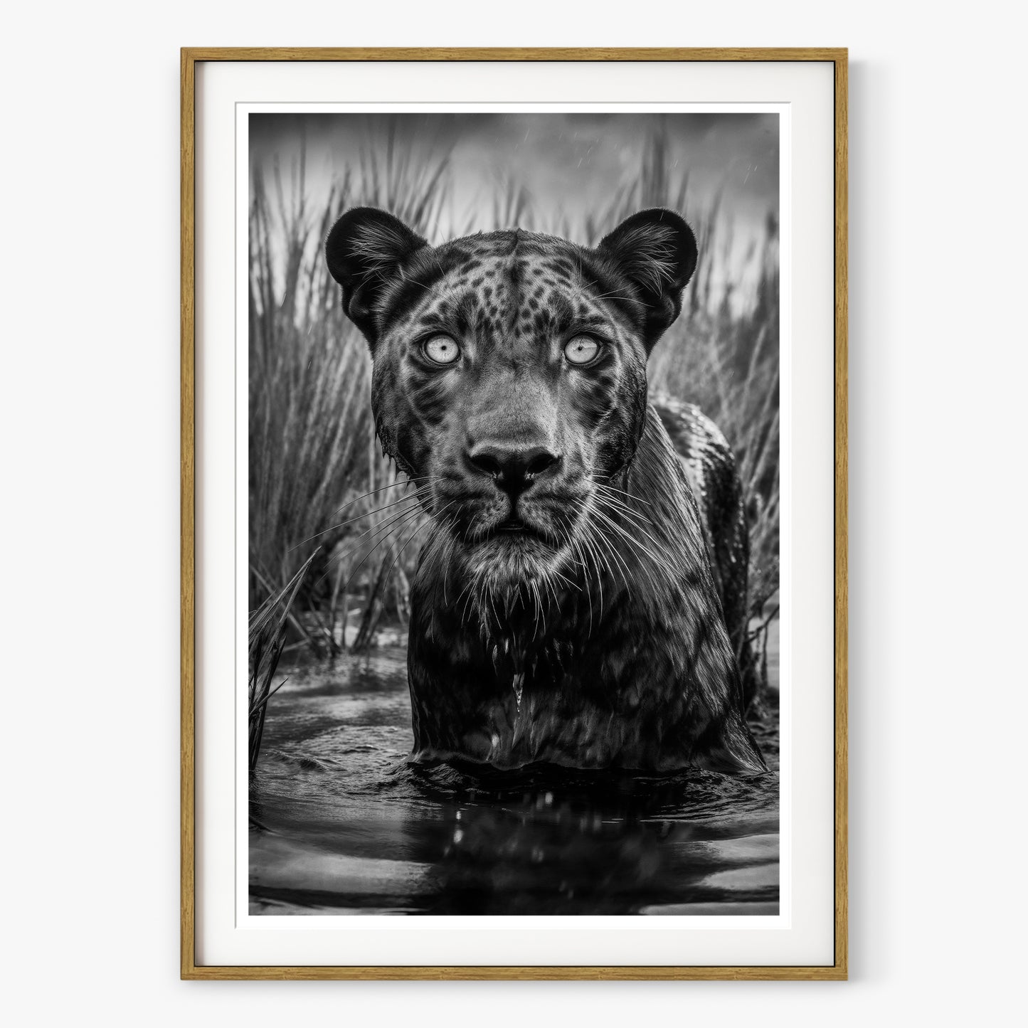 Shuri