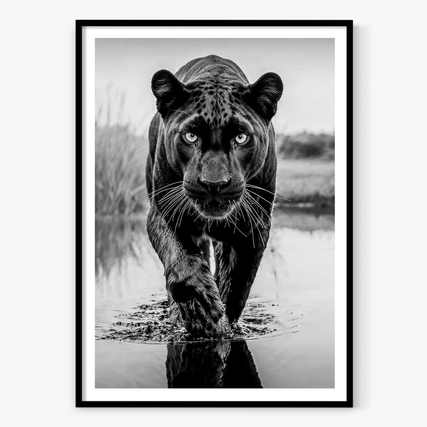 T'Challa