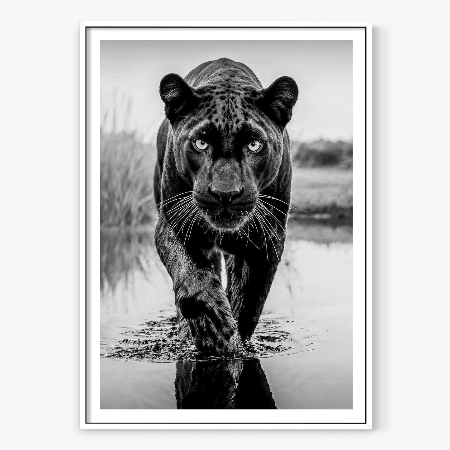T'Challa