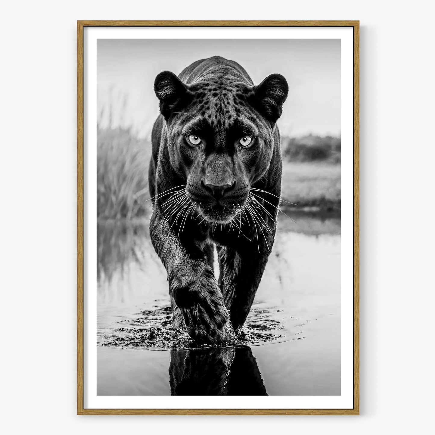 T'Challa