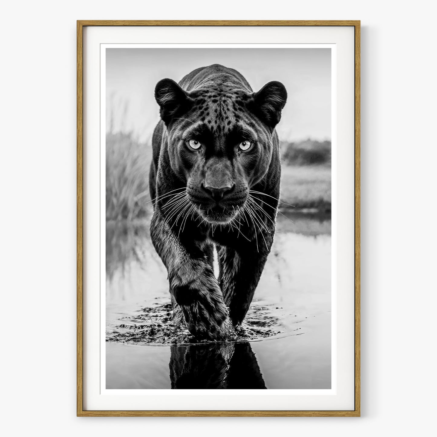 T'Challa