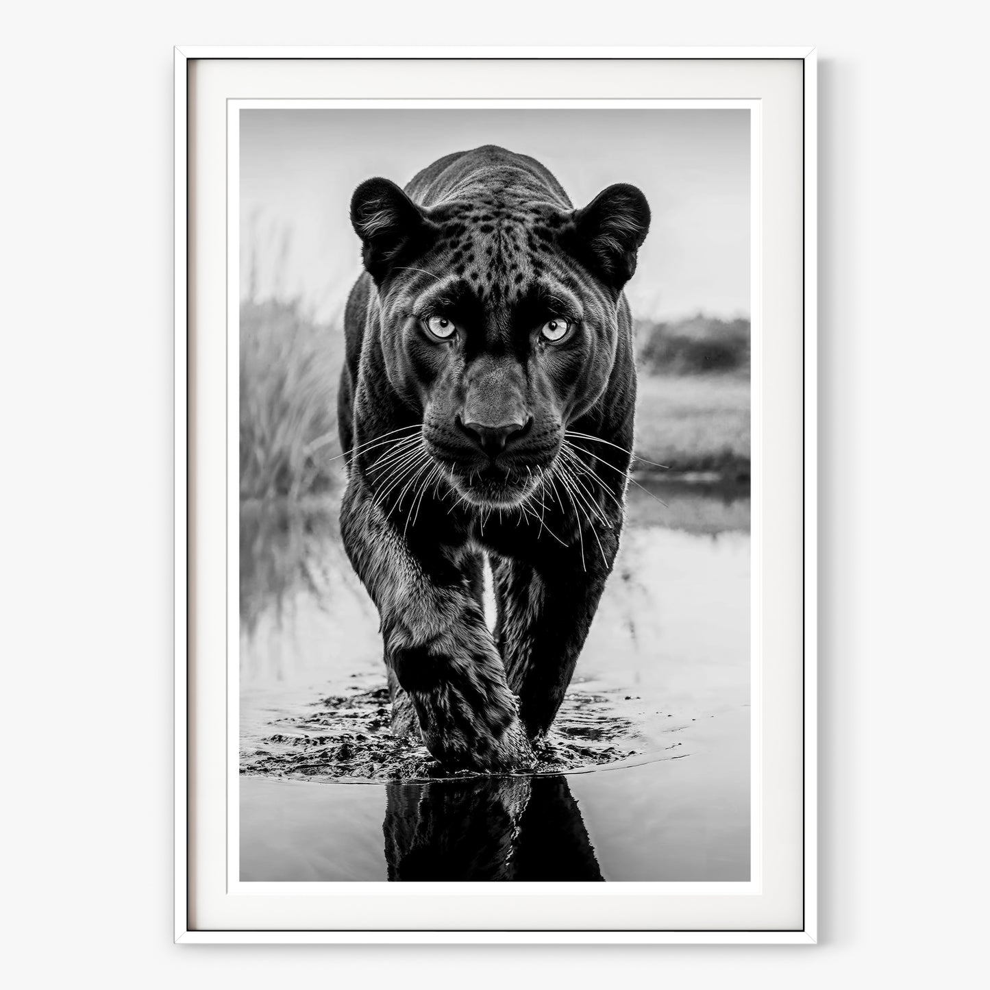 T'Challa