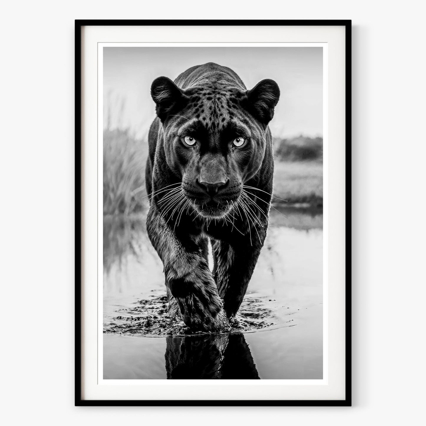 T'Challa