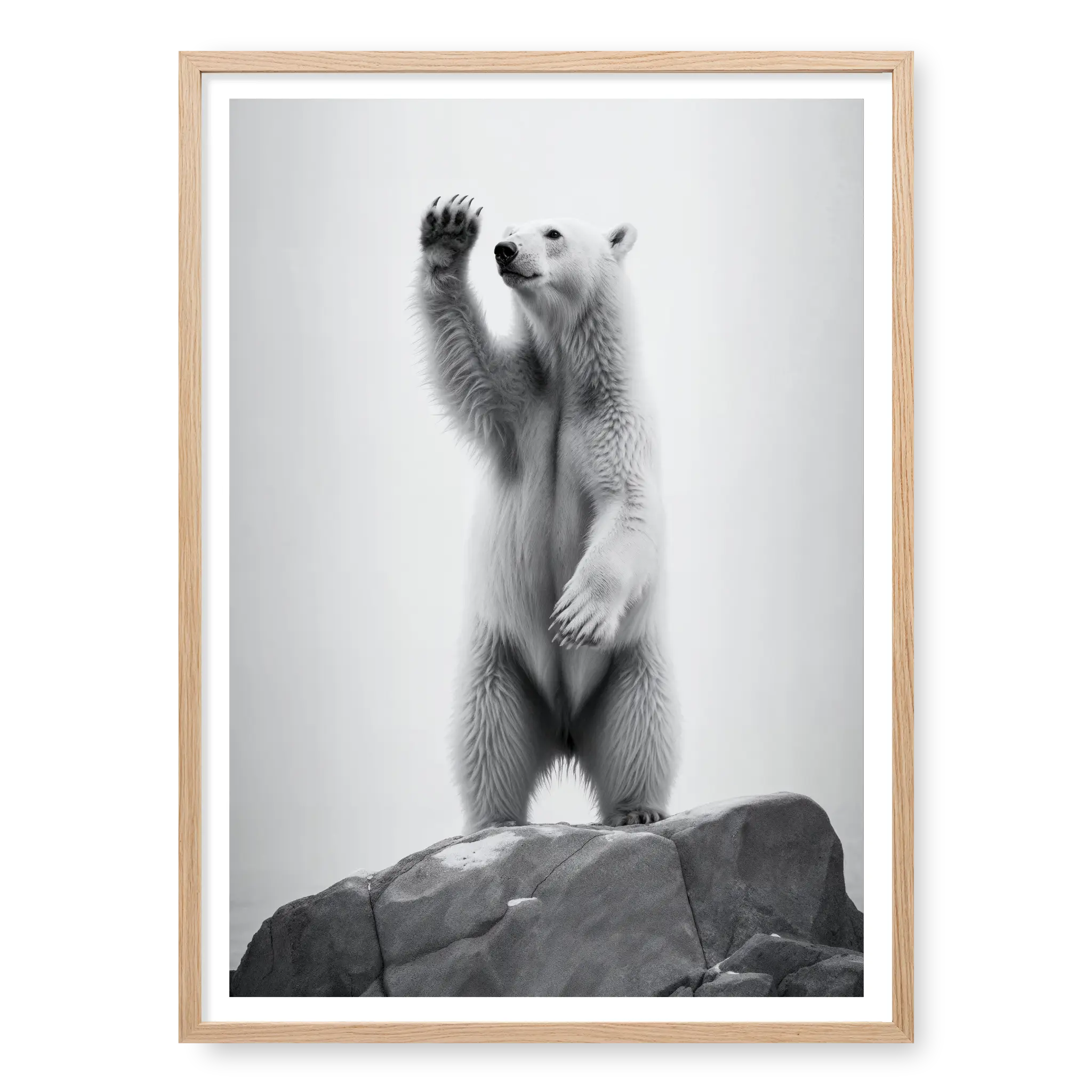 Polar bear standing on hind legs on a rock raising one paw, black and white art print titled 90 Degrees North in natural oak frame
