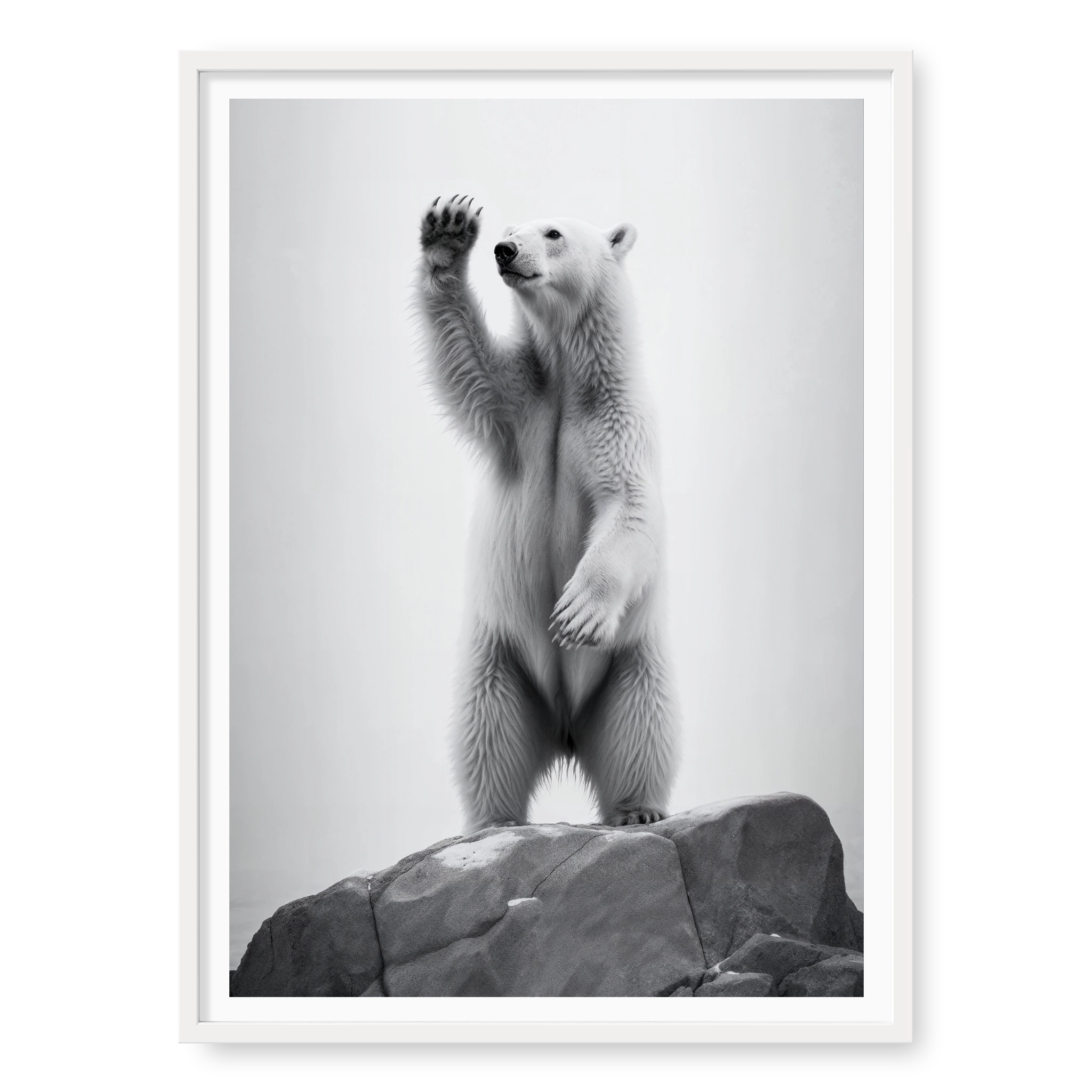 Polar bear standing on hind legs on a rock raising one paw, black and white art print titled 90 Degrees North in white frame
