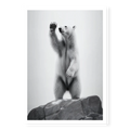 Black and white polar bear art print showing a bear standing upright on a rock