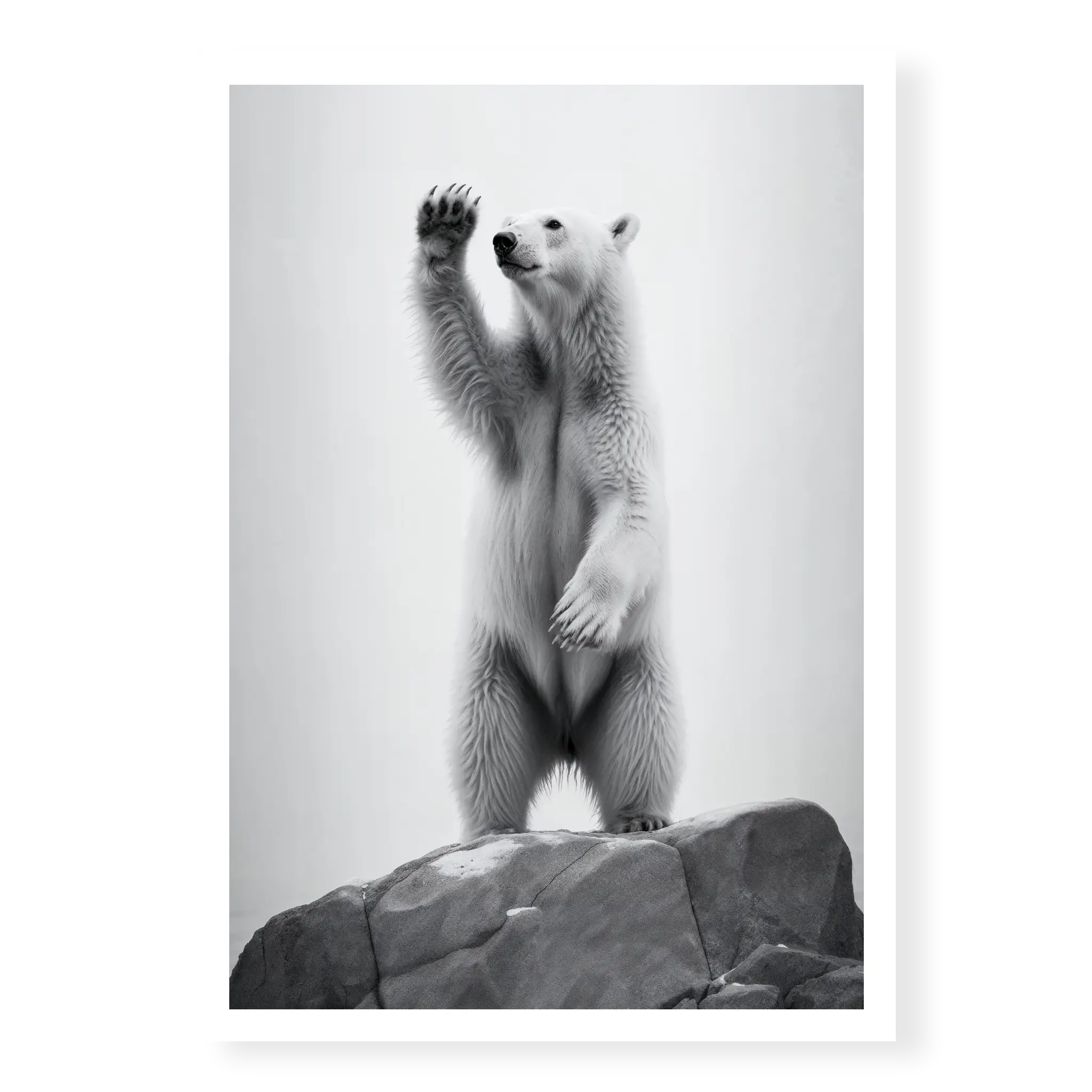 Black and white polar bear art print showing a bear standing upright on a rock