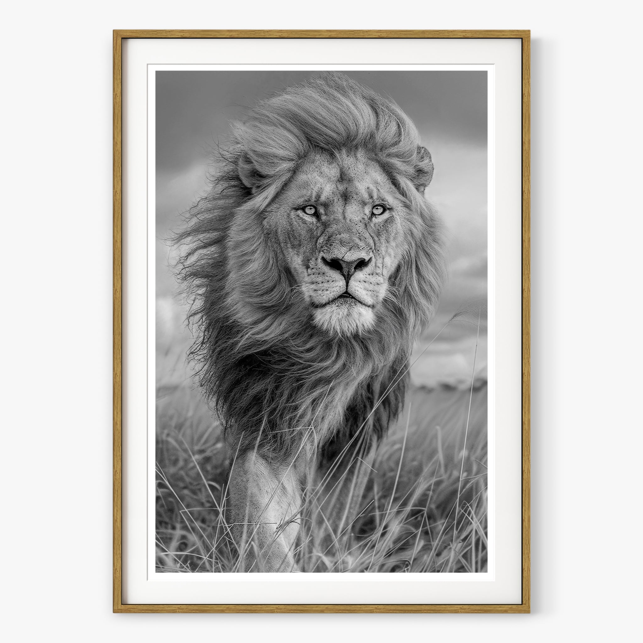 Majesty