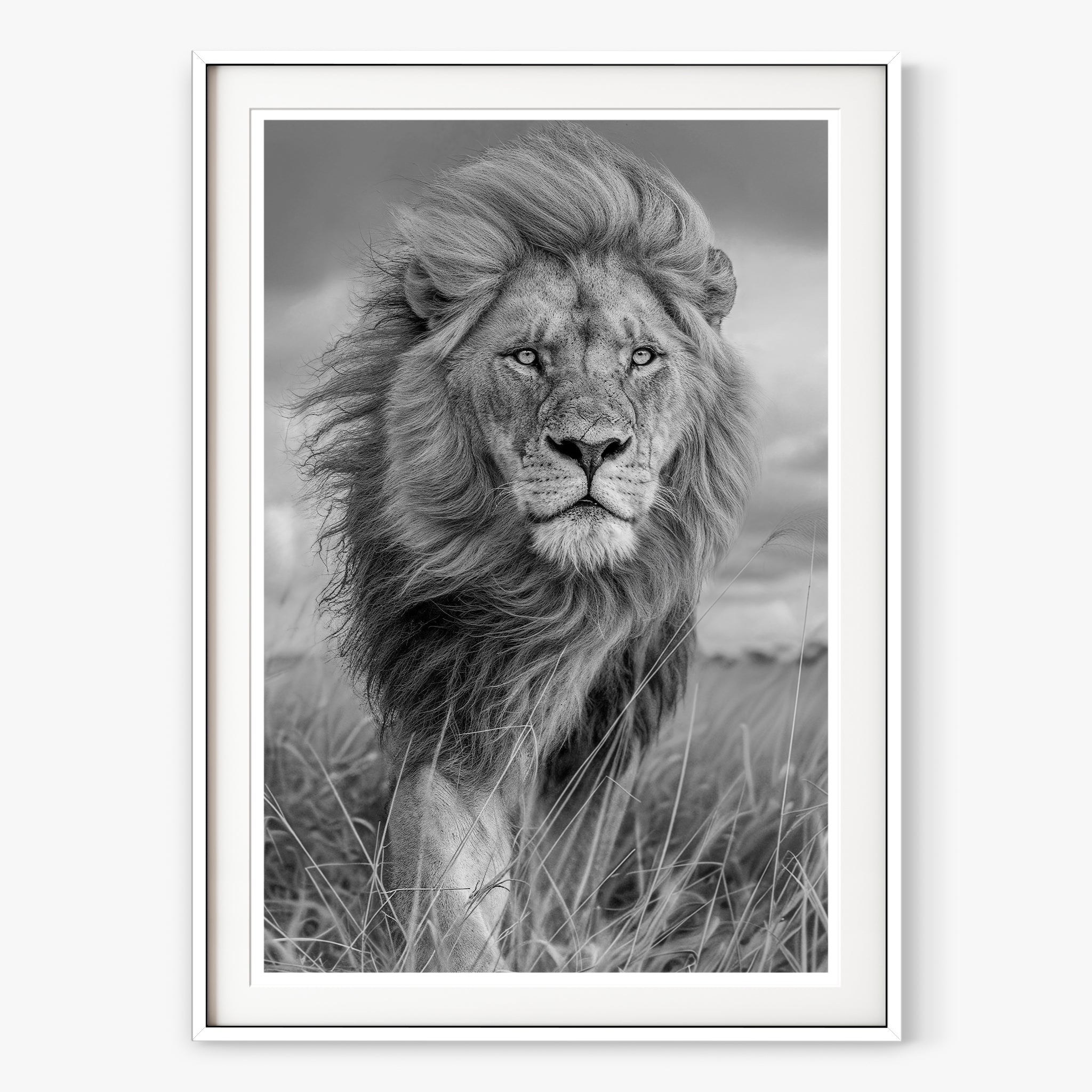 Majesty