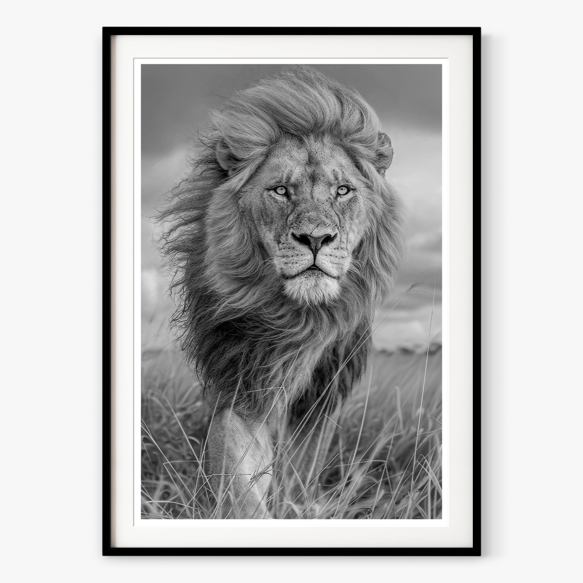 Majesty