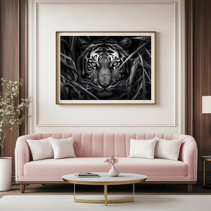 Paranoia