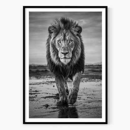 Pride