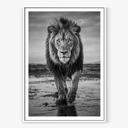 Pride