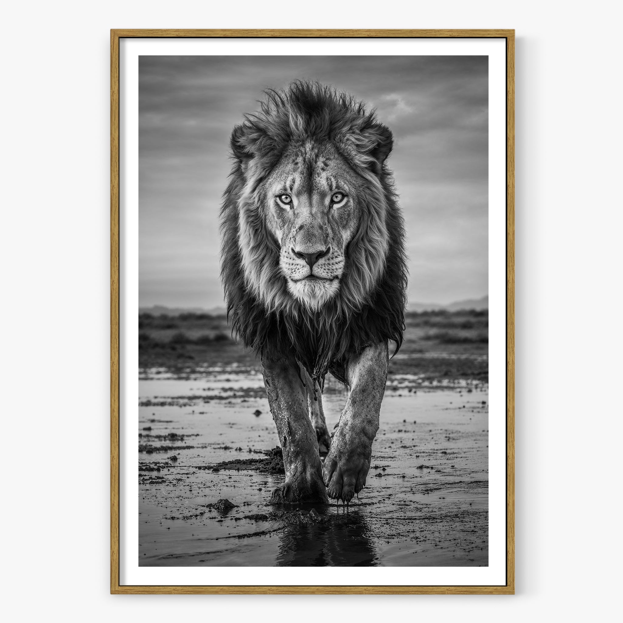 Pride