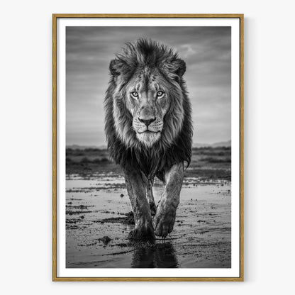 Pride