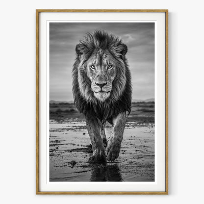 Pride
