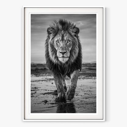 Pride