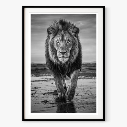 Pride