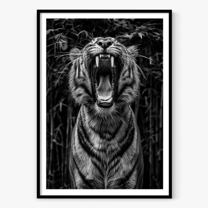 Rawr