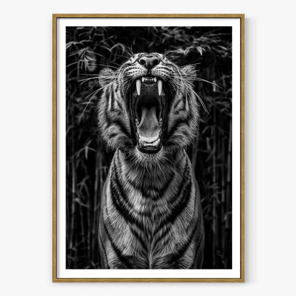 Rawr