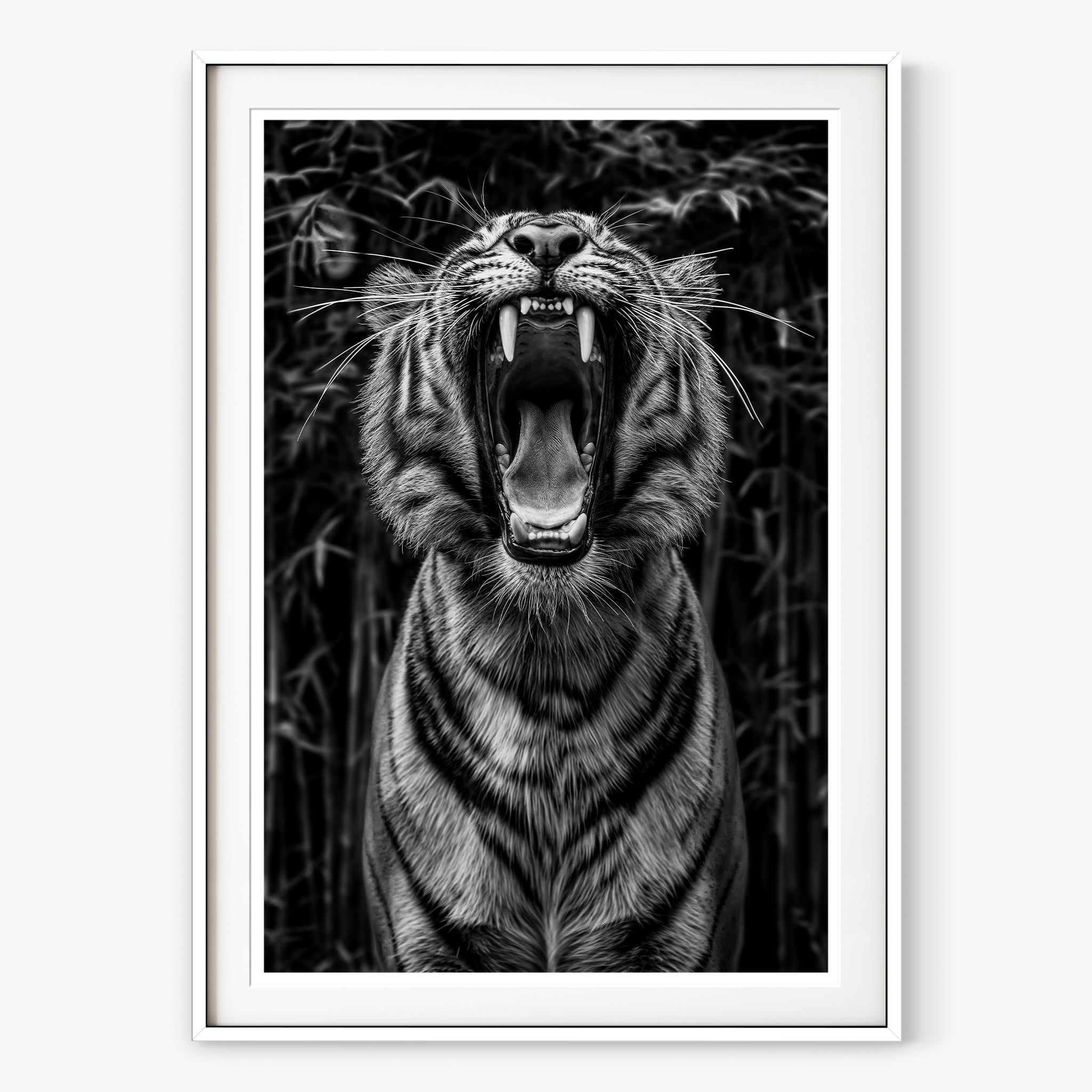 Rawr