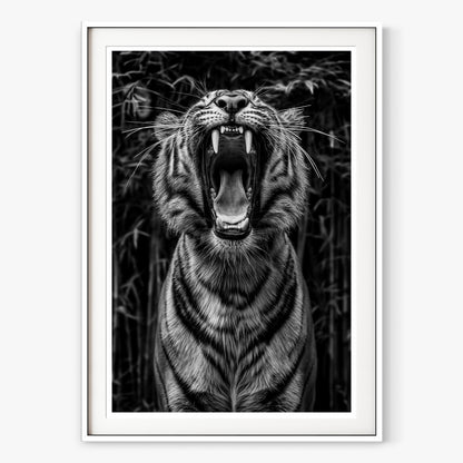 Rawr