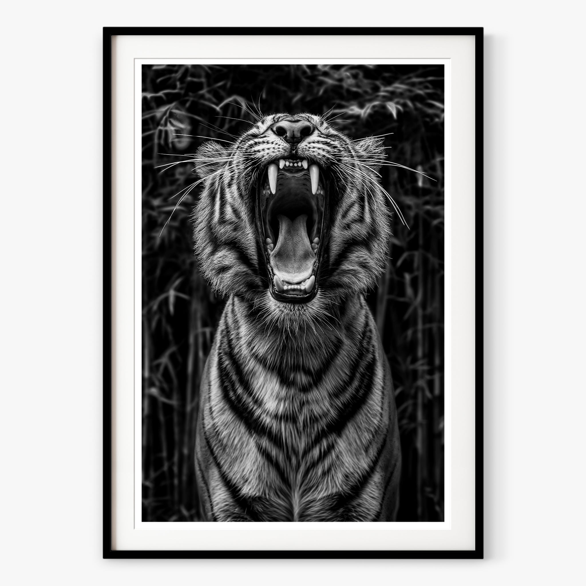 Rawr