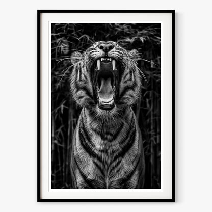 Rawr