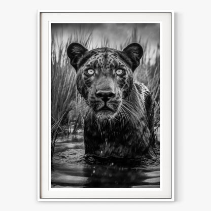 Shuri