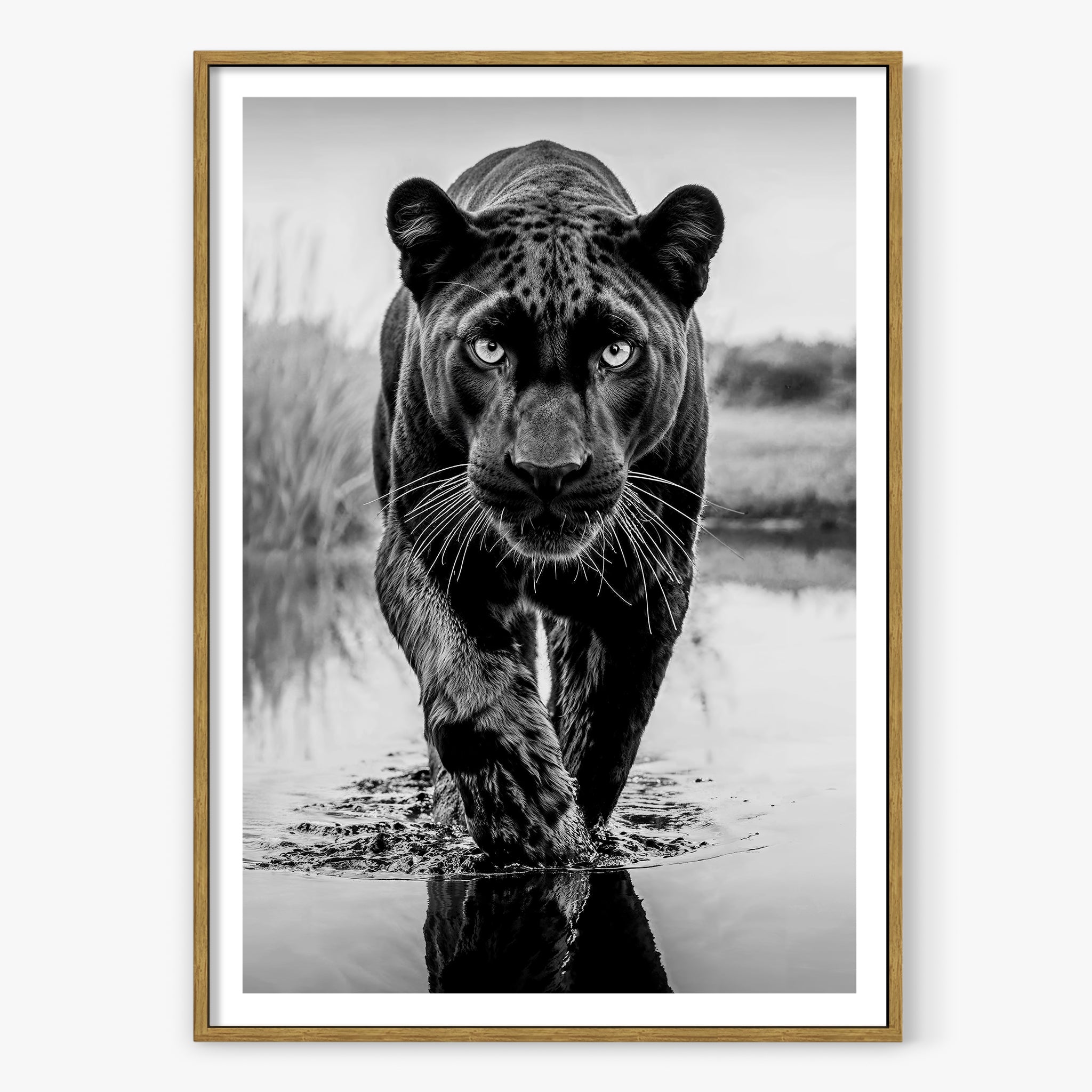 T'Challa