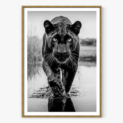 T'Challa