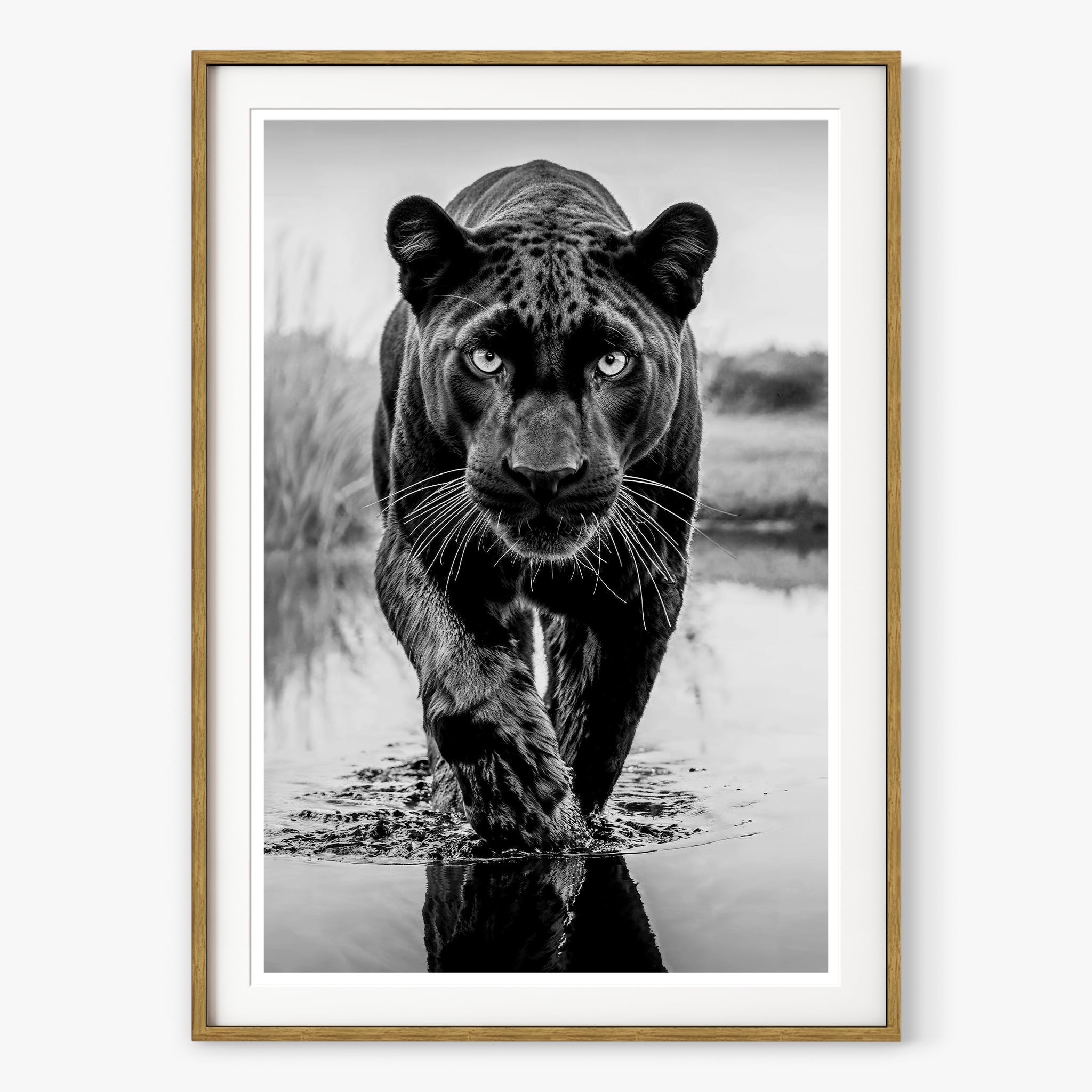 T'Challa