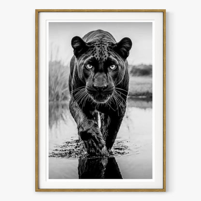 T'Challa