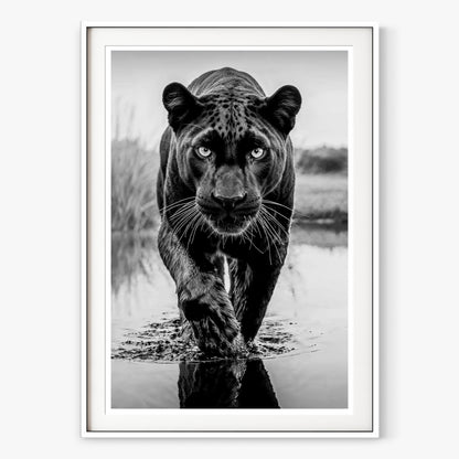 T'Challa