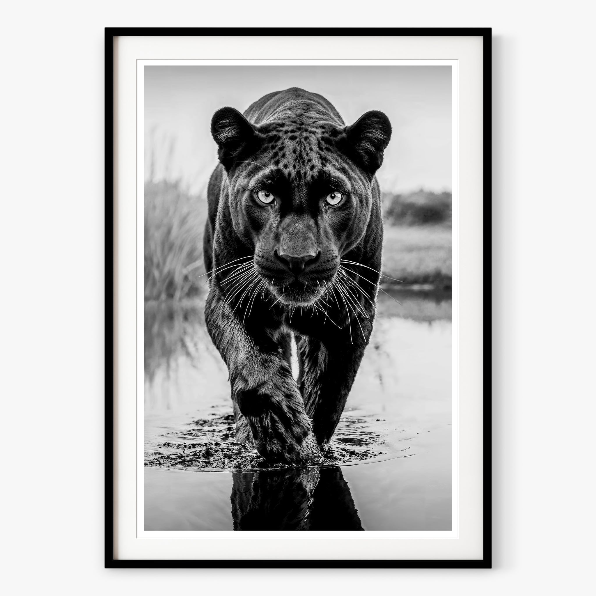 T'Challa